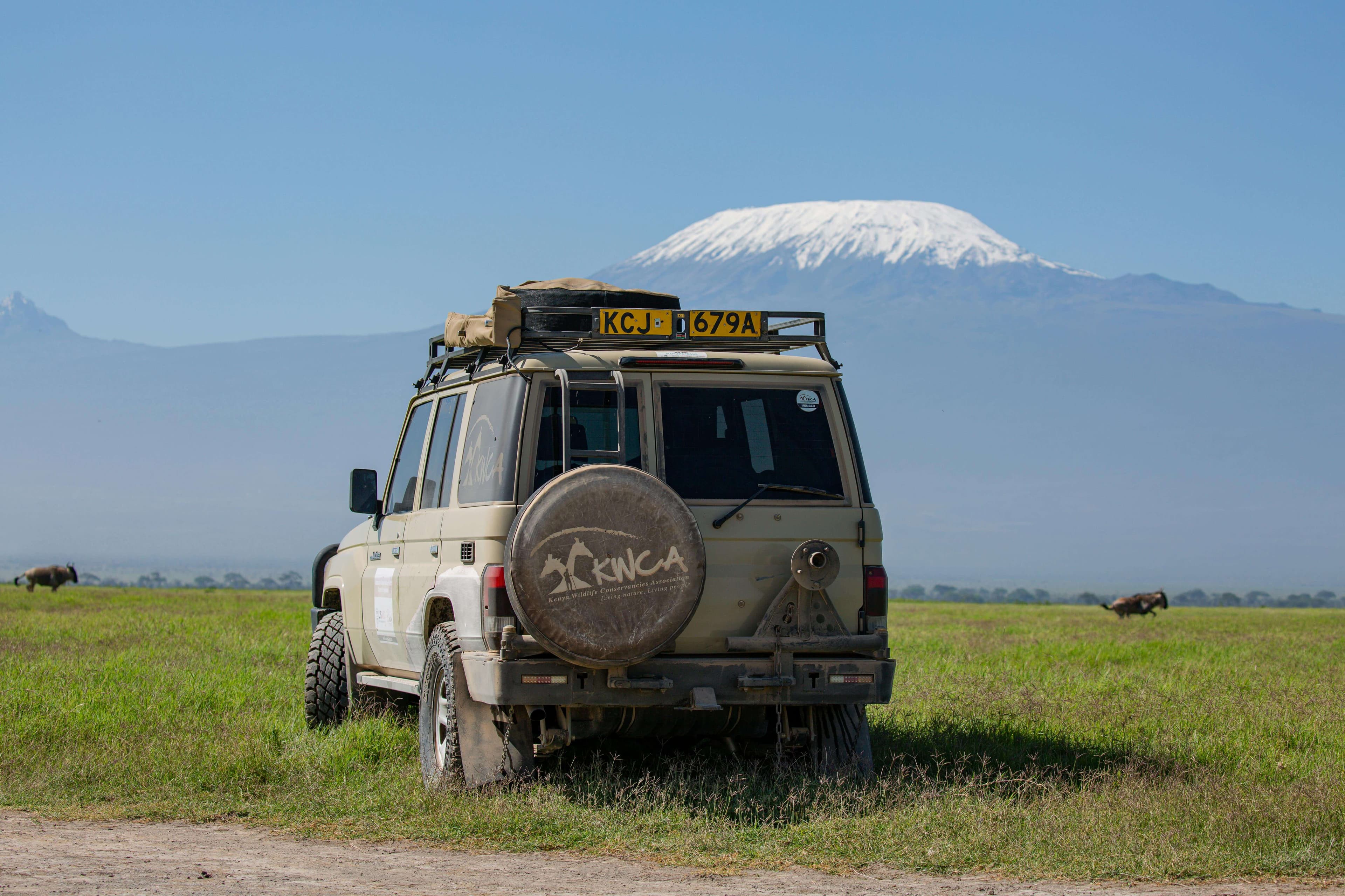 Best African Safari Destinations in 2025