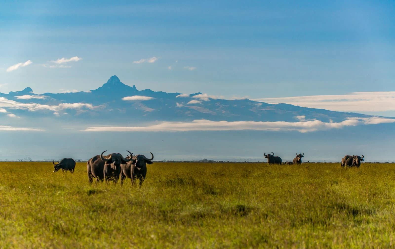 Best Time to Visit Kenya: Safaris, Beaches, Weather & Festivals