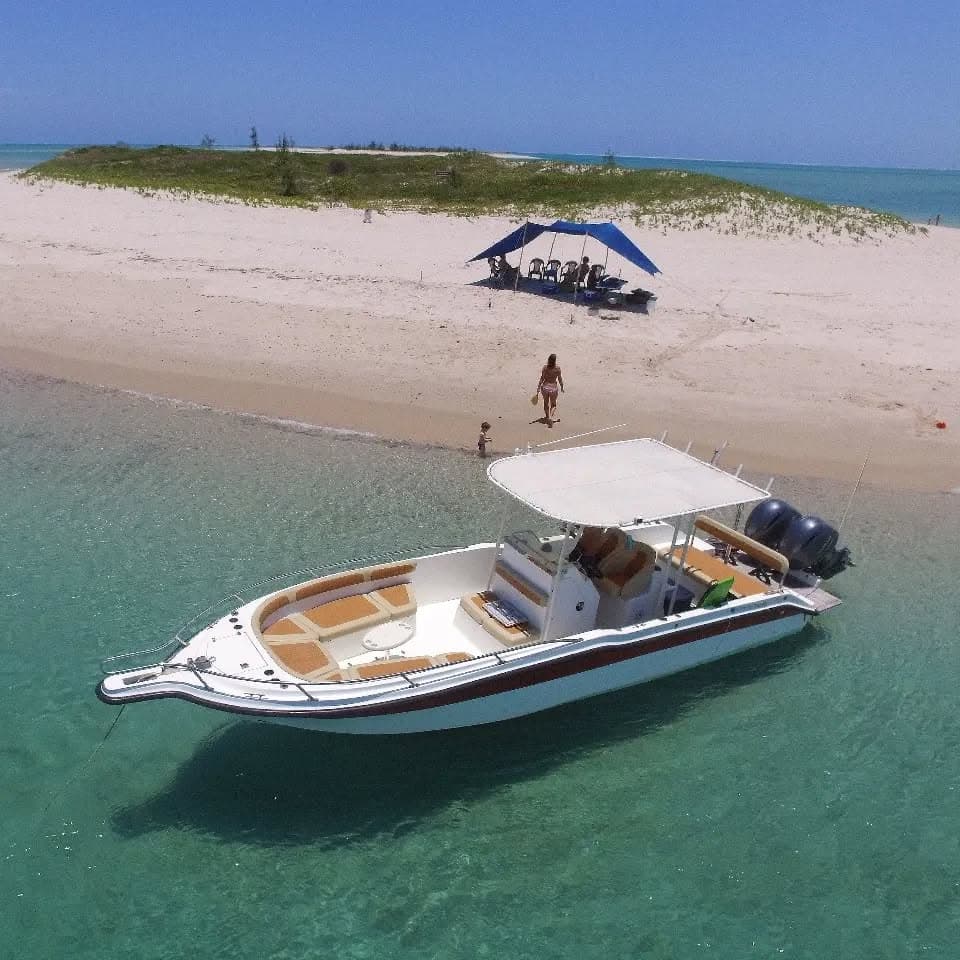 Vilanculos & Bazaruto Islands 2026: Dolphins, Sharks & Hidden Beaches