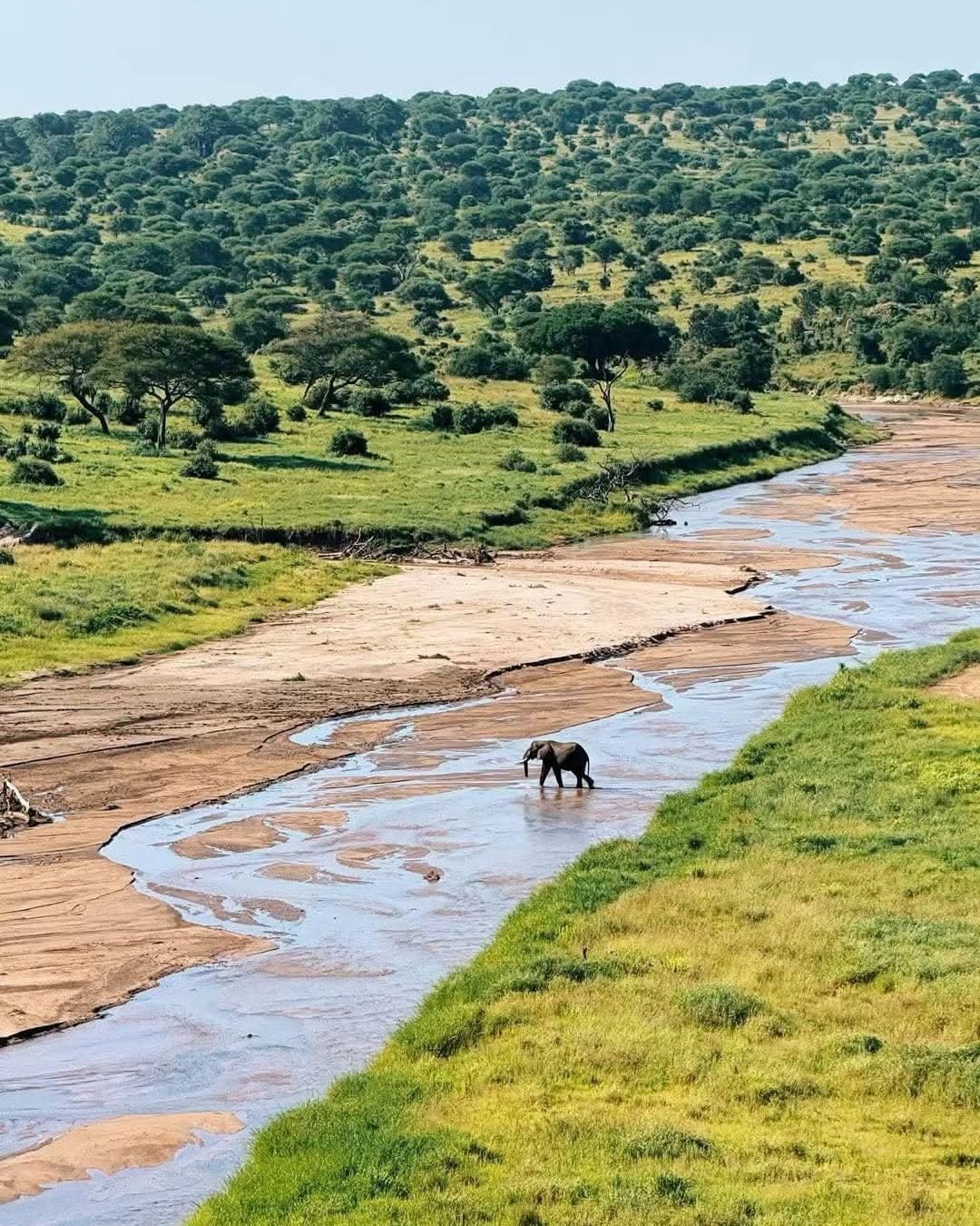 Lake Manyara & Tarangire Safari Guide: Elephants, Birds & Tree Lions