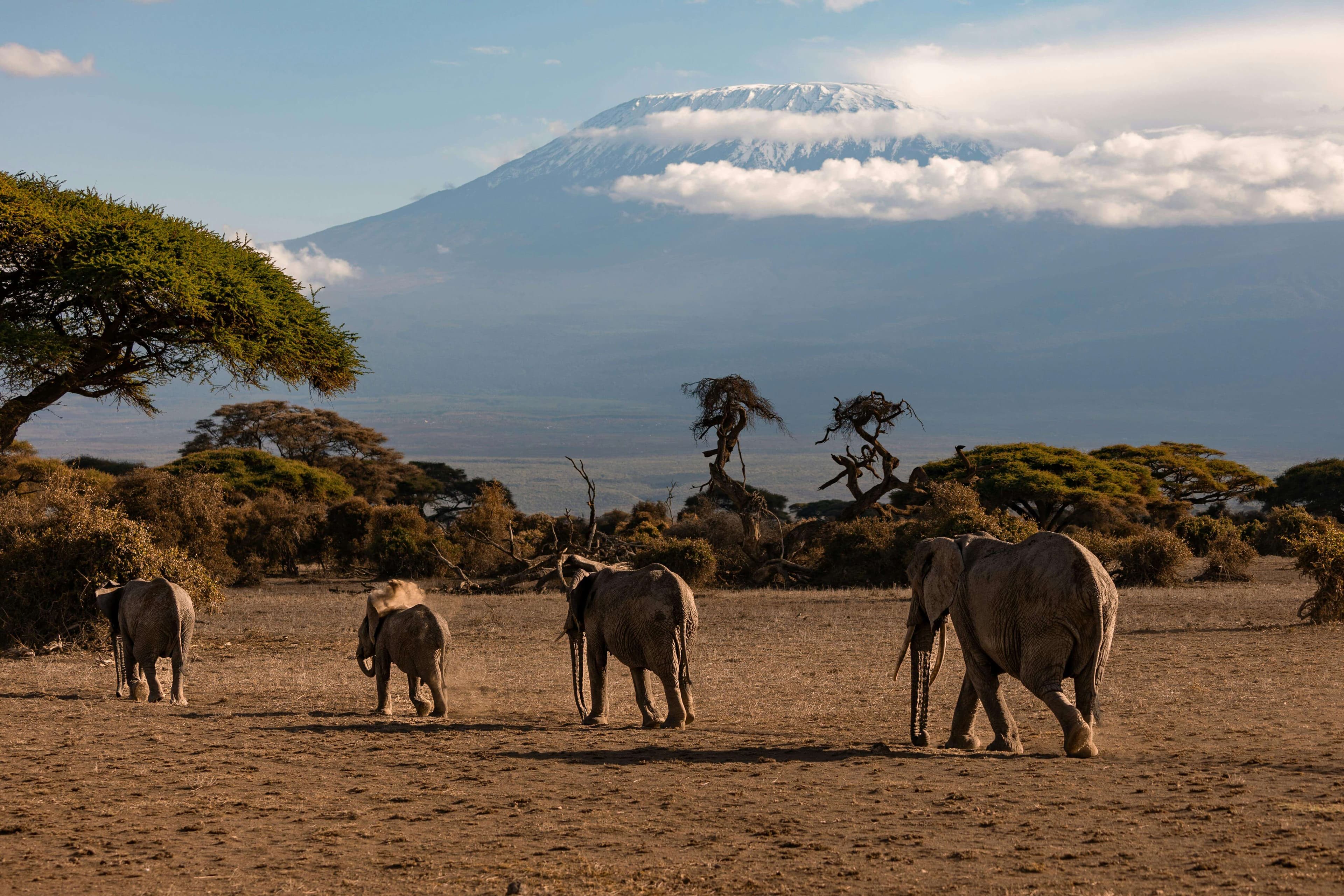 Tanzania Travel Guide 2025: Everything You Need to Know