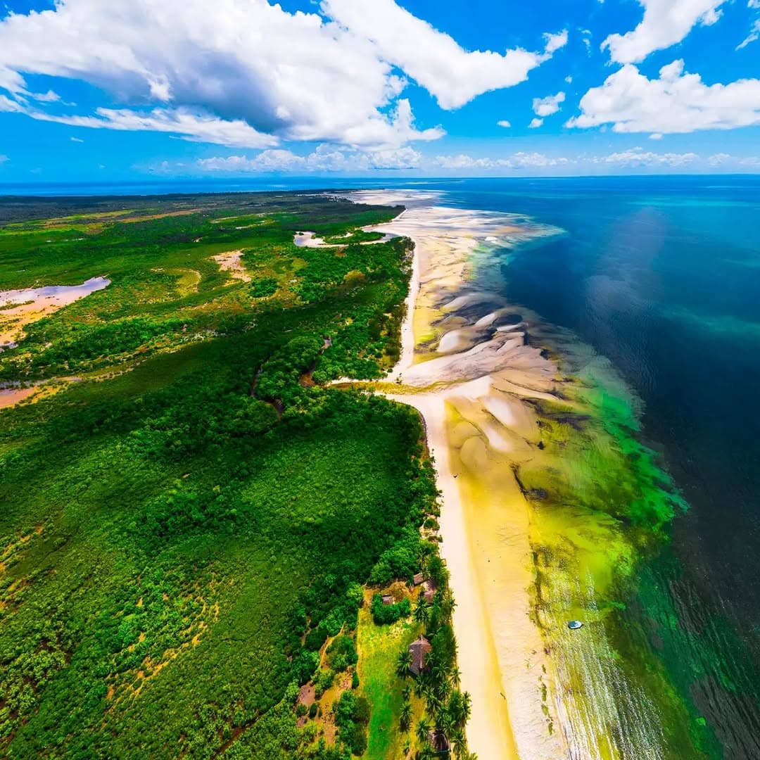 Mafia Island Tanzania: Diving, Whale Sharks & Eco Travel Guide