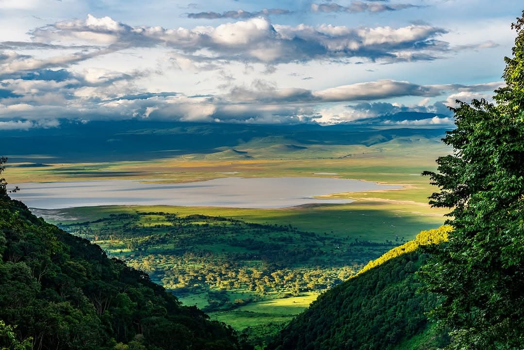 Ngorongoro Crater Safari Guide: Wildlife, Best Time & Travel Tips