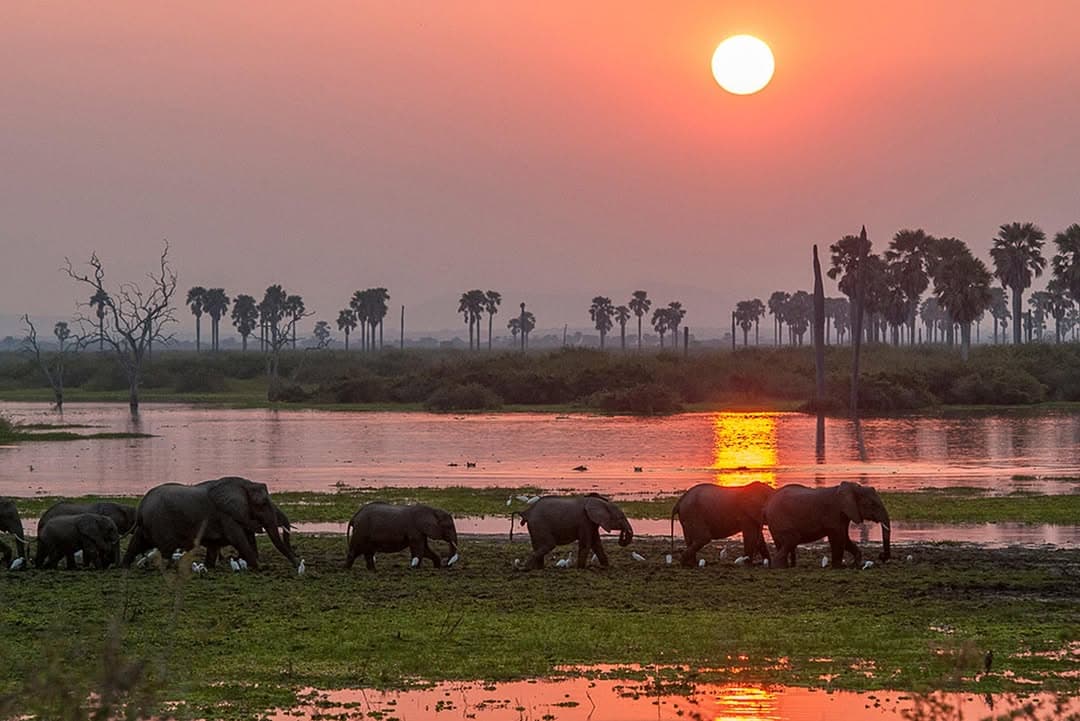 Tanzania’s Hidden Safari Gems: Underrated Parks & Remote Reserves (2026)