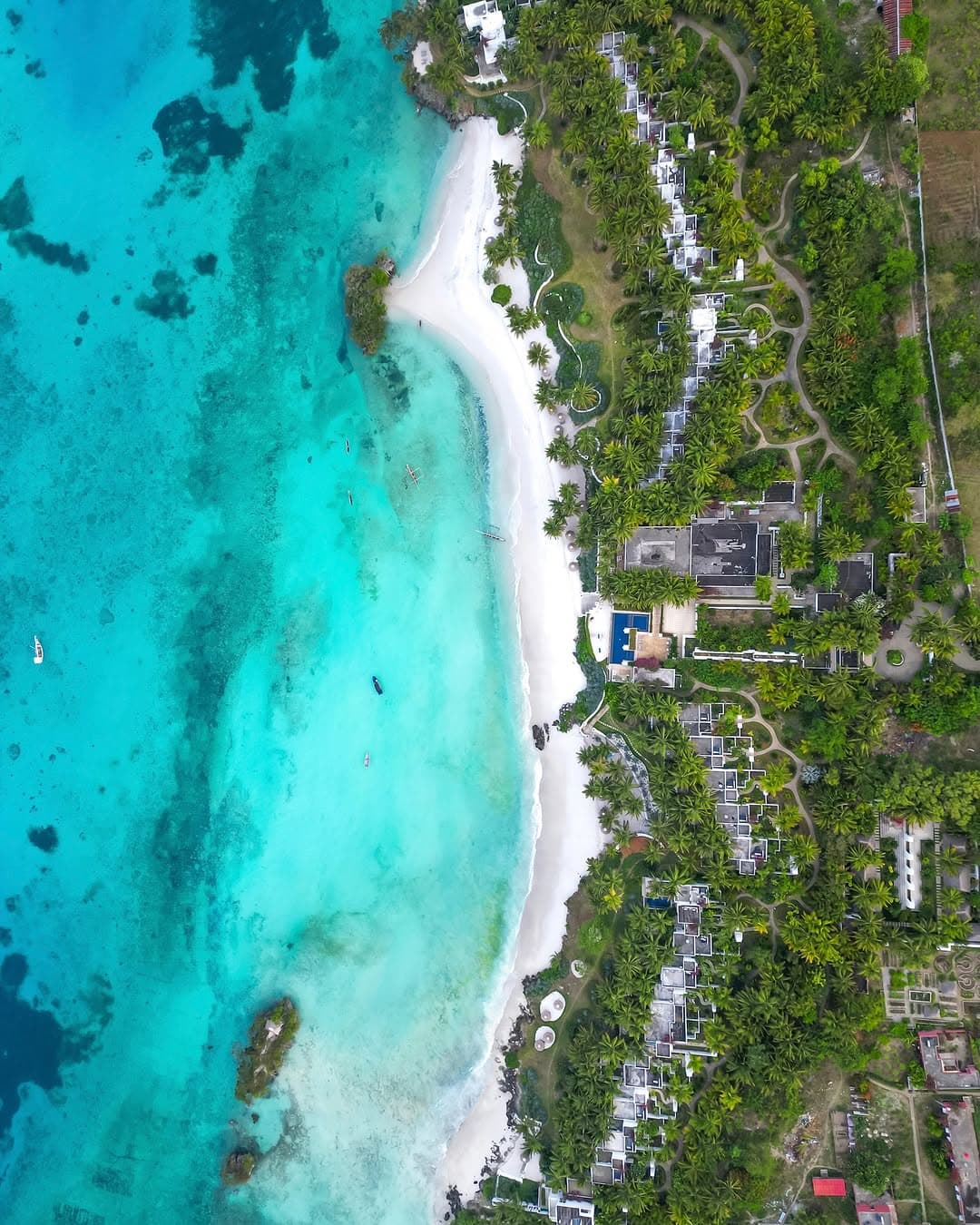 Pemba Island Travel Guide 2026: Diving, Beaches & Untouched Paradise